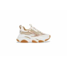 STEVE MADDEN SNEAKERS BICOLOR COCONUT